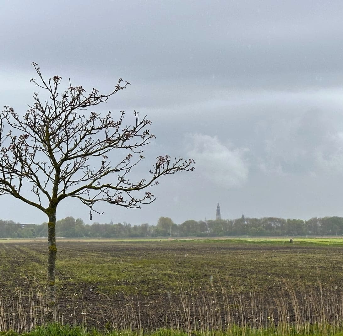 Geniet van prachtige uitzichten